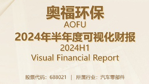 2024年半年度可视化财报